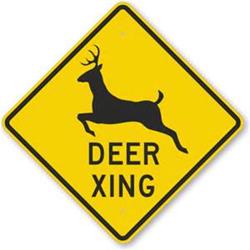 Deer-breeding season means more deer on the move